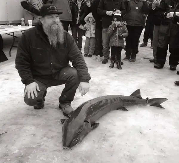 Mike Jewell kneeling next to a large lake sturgeon that is laid out on the ice.